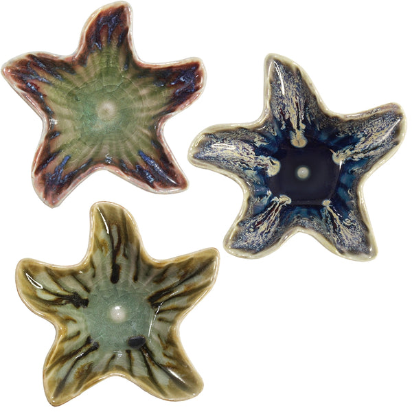 Starfish Dish